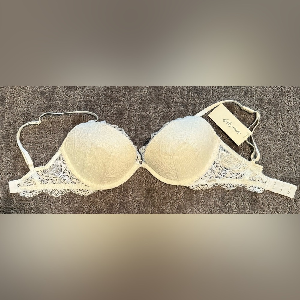 Gilly Hicks Super Push-Up Plunge Bra 30D